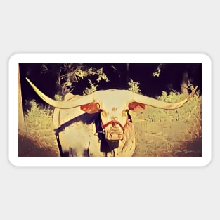 Texas Longhorn Sticker